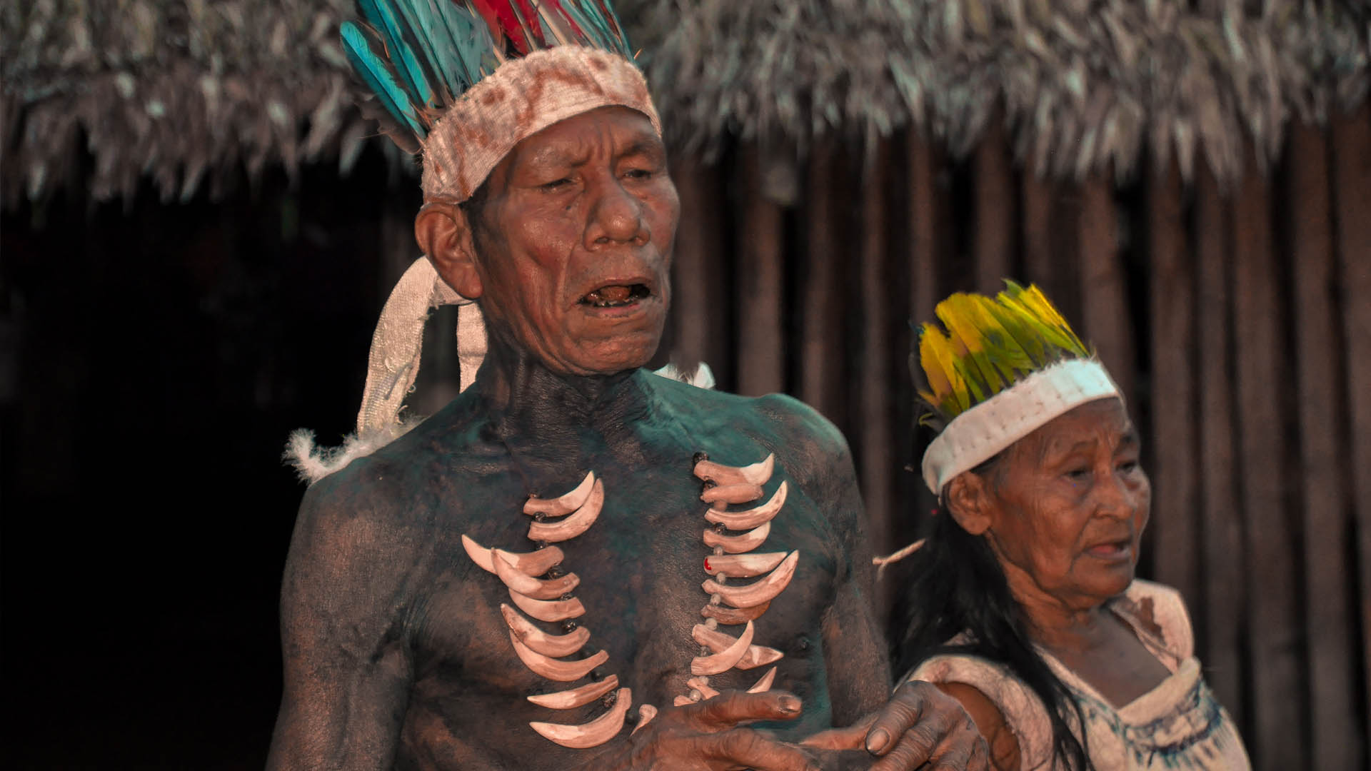 MITOLOGÍAS AMAZÓNICAS